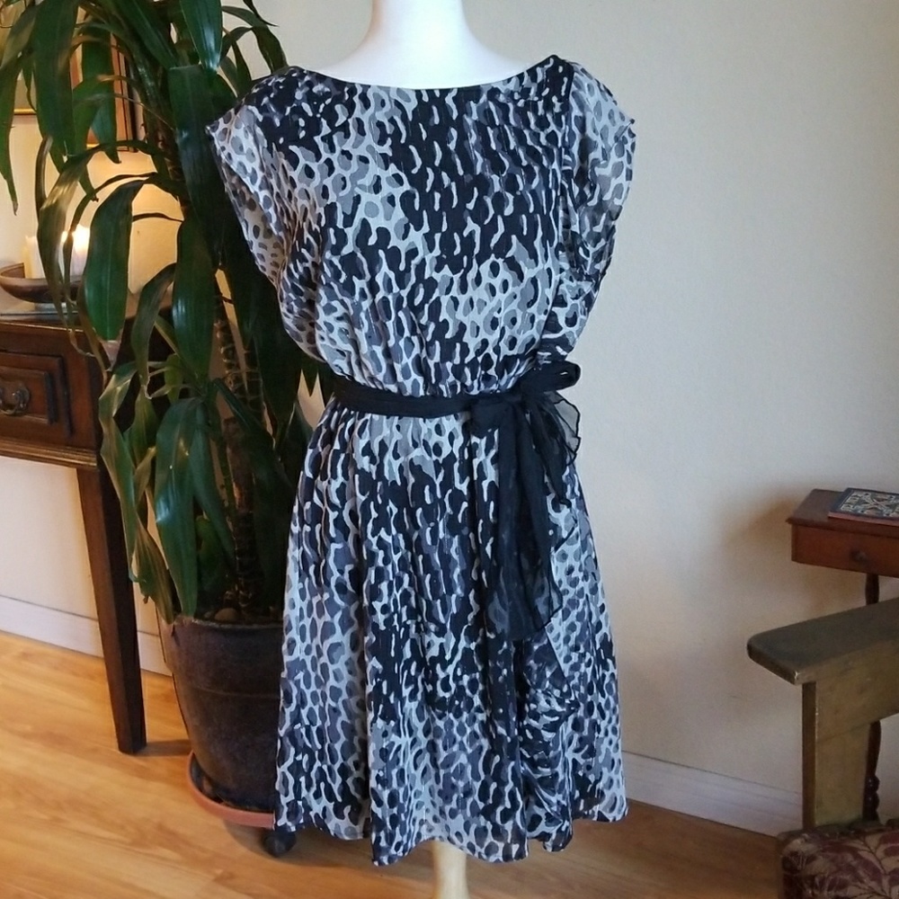 Sheer Dress with lining